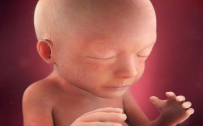 سقط جنین چیست؟ علل، علائم و انواع0 (0)