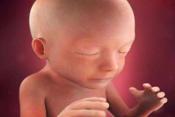 سقط جنین چیست؟ علل، علائم و انواع0 (0)