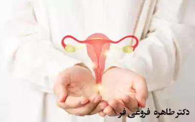 هزینه تزریق چربی به واژن در تهران سال 14030 (0)